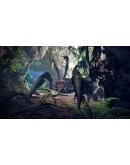 Risen 2: Dark Waters СТИМ Steam Gift