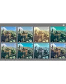 Tiny Glade СТИМ Steam Gift