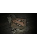 Hunt: Showdown 1896 - Death's Day DLC * STEAM RU ⚡