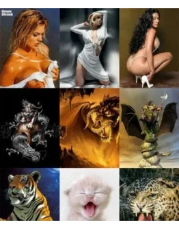 Мобильные анимированные обои + БОНУС