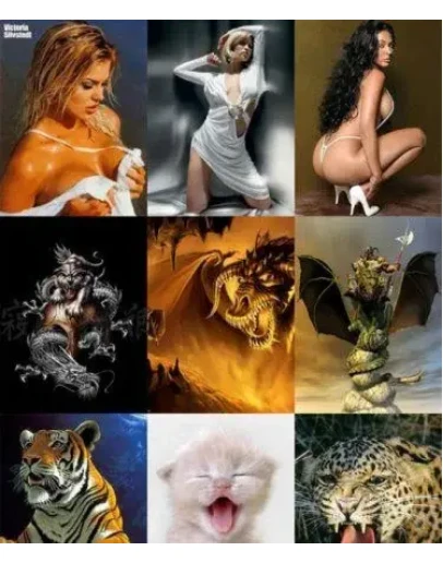 Мобильные анимированные обои + БОНУС