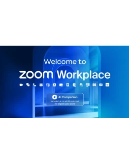 Подписка на Zoom Pro Workplace на 1–12 месяцев