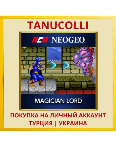 ACA NEOGEO MAGICIAN LORD PS4/PS5/PS Турция/Украина