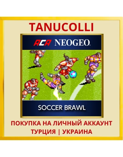 ACA NEOGEO SOCCER BRAWL PS4/PS5/PS Турция/Украина