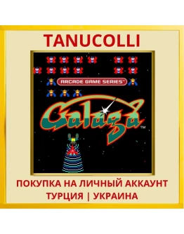 ARCADE GAME SERIES: GALAGA PS4/PS5/PS Турция/Украина