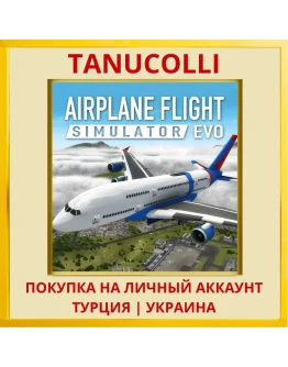Airplane Flight Simulator ... PS4/PS5/PS Турция/Украина