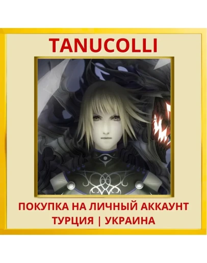 Anima: Gate of Memories PS4/PS5/PS Турция/Украина