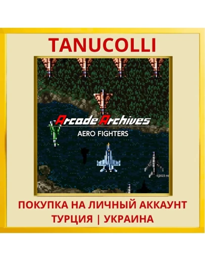 Arcade Archives AERO FIGHTERS PS4/PS5/PS Турция/Украина