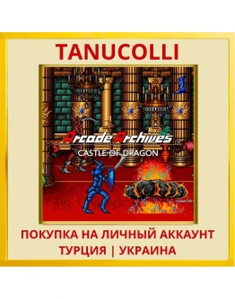 Arcade Archives CASTLE OF ... PS4/PS5/PS Турция/Украина