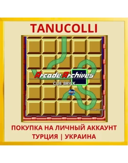 Arcade Archives CUE BRICK PS4/PS5/PS Турция/Украина