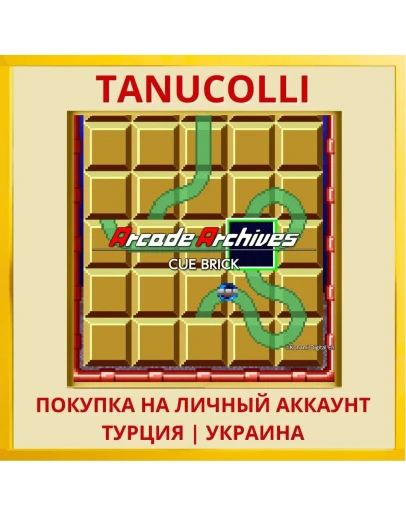 Arcade Archives CUE BRICK PS4/PS5/PS Турция/Украина