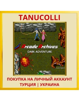 Arcade Archives DARK ADVEN... PS4/PS5/PS Турция/Украина