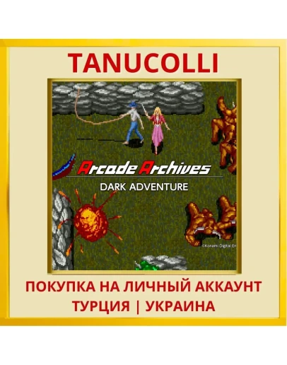 Arcade Archives DARK ADVEN... PS4/PS5/PS Турция/Украина
