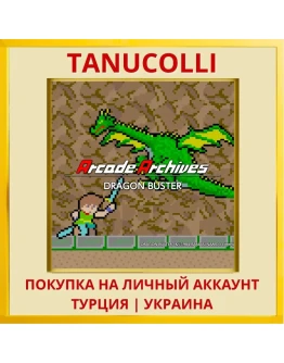 Arcade Archives DRAGON BUSTER PS4/PS5/PS Турция/Украина