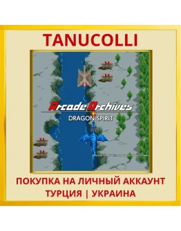 Arcade Archives DRAGON SPIRIT PS4/PS5/PS Турция/Украина