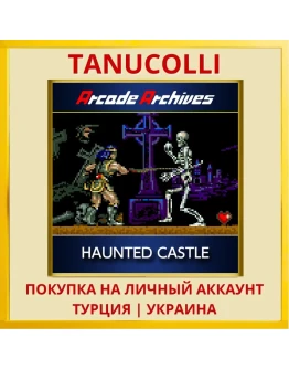 Arcade Archives HAUNTED CA... PS4/PS5/PS Турция/Украина