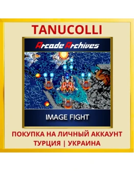 Arcade Archives IMAGE FIGHT PS4/PS5/PS Турция/Украина