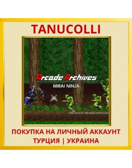 Arcade Archives MIRAI NINJA PS4/PS5/PS Турция/Украина