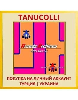 Arcade Archives NEW RALLY-X PS4/PS5/PS Турция/Украина