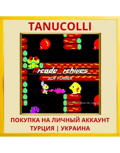 Arcade Archives POP FLAMER PS4/PS5/PS Турция/Украина