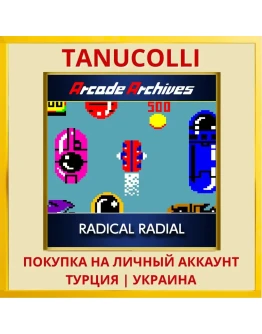 Arcade Archives RADICAL RA... PS4/PS5/PS Турция/Украина