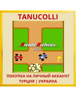 Arcade Archives RALLY-X PS4/PS5/PS Турция/Украина