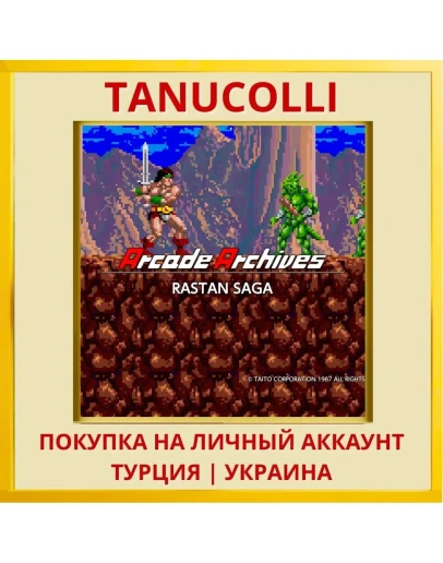Arcade Archives RASTAN SAGA PS4/PS5/PS Турция/Украина