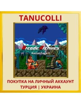 Arcade Archives RASTAN SAG... PS4/PS5/PS Турция/Украина