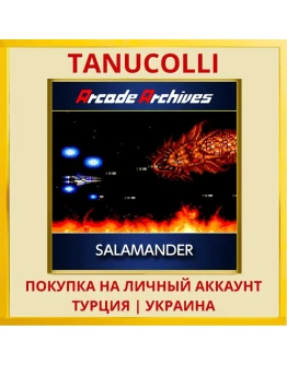 Arcade Archives SALAMANDER PS4/PS5/PS Турция/Украина
