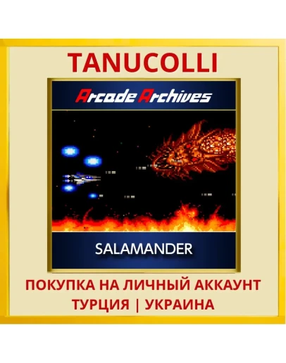 Arcade Archives SALAMANDER PS4/PS5/PS Турция/Украина