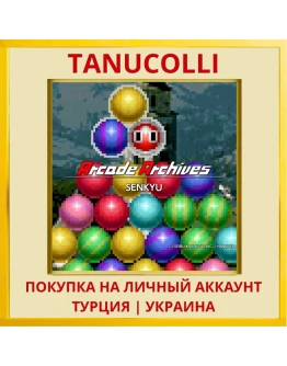 Arcade Archives SENKYU PS4/PS5/PS Турция/Украина