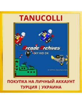 Arcade Archives SKY KID DX PS4/PS5/PS Турция/Украина
