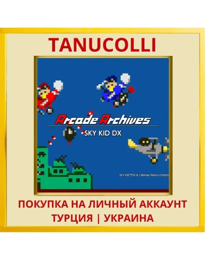 Arcade Archives SKY KID DX PS4/PS5/PS Турция/Украина