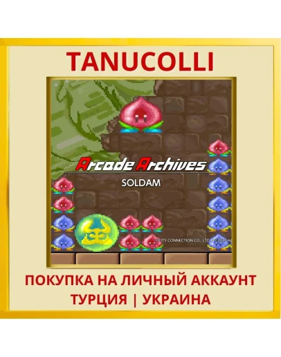 Arcade Archives SOLDAM PS4/PS5/PS Турция/Украина