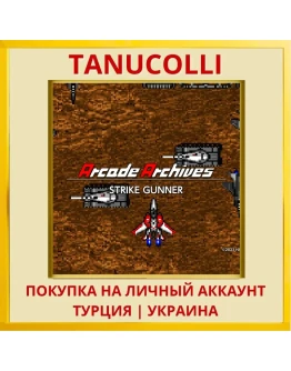 Arcade Archives STRIKE GUNNER PS4/PS5/PS Турция/Украина