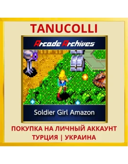 Arcade Archives Soldier Gi... PS4/PS5/PS Турция/Украина