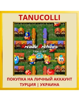 Arcade Archives TINKLE PIT PS4/PS5/PS Турция/Украина