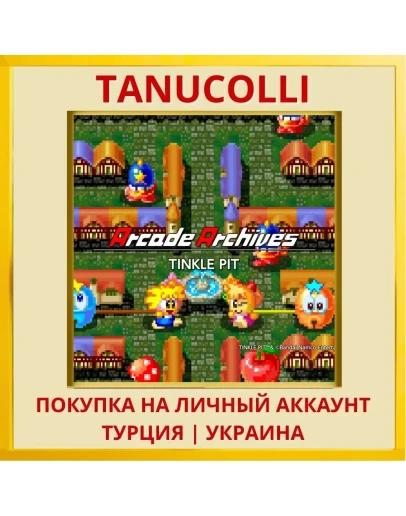 Arcade Archives TINKLE PIT PS4/PS5/PS Турция/Украина