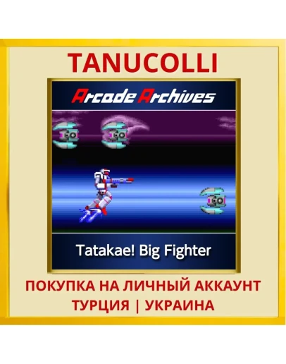 Arcade Archives Tatakae! B... PS4/PS5/PS Турция/Украина