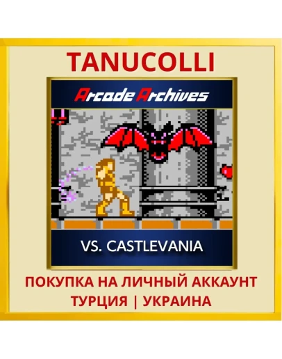 Arcade Archives VS. CASTLE... PS4/PS5/PS Турция/Украина