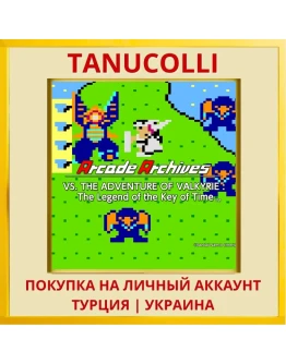Arcade Archives VS. The Ad... PS4/PS5/PS Турция/Украина