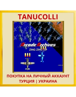 Arcade Archives ZING ZING ZIP PS4/PS5/PS Турция/Украина