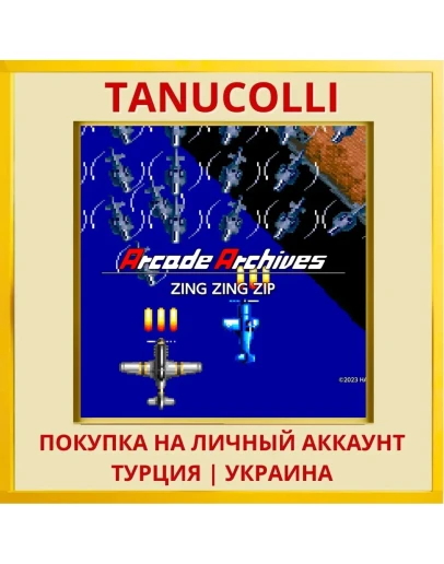 Arcade Archives ZING ZING ZIP PS4/PS5/PS Турция/Украина