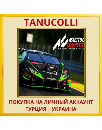 Assetto Corsa Competizione PS4/PS5/PS Турция/Украина