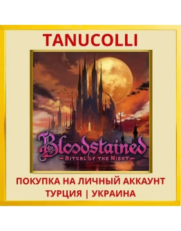 Bloodstained: Ritual of th... PS4/PS5/PS Турция/Украина