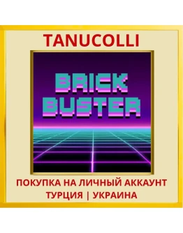 Brick Buster PS4/PS5/PS Турция/Украина