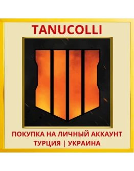 Call of Duty®: Black Ops 4 PS4/PS5/PS Турция/Украина