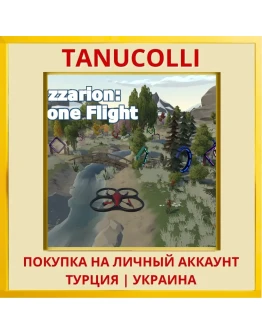 Cazzarion: Drone Flight PS4/PS5/PS Турция/Украина