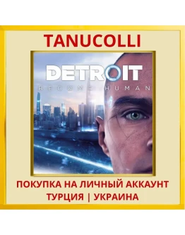 Detroit: Become Human™ PS4/PS5/PS Турция/Украина
