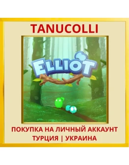 Elliot PS4/PS5/PS Турция/Украина